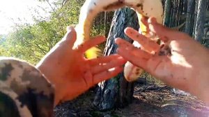 Рыбалка в синегорье. Ловля щуки. Рыбалка на спиннинг и закидушки. Ловля линя.