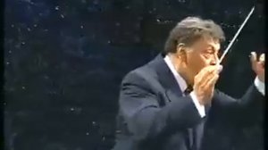 Flight of the Bumblebee