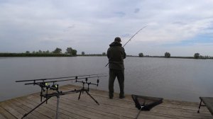 Флэт метод. Эксперимент в ловле карпа во время нереста.