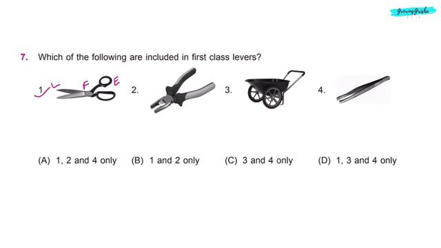 NSO Science Olympiad Class 5 Sample Paper 2022-23 смотреть онлайн