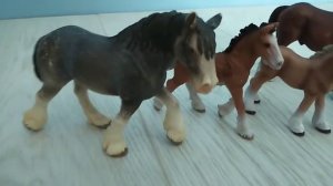 Обзор моей коллекции лошадей Schleich и Collecta.