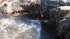 MVI_7944 (480p).mp4
