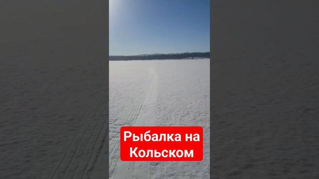 Кольский Рыбалка озеро Домашнее