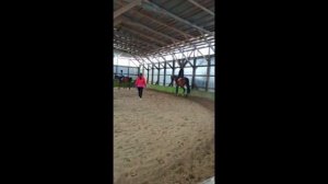 тренировка в кск «Радена»?||упала с лошади???||Evgen Ks