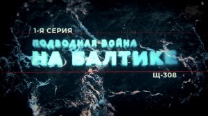 Подводная война на Балтике. Щ-308