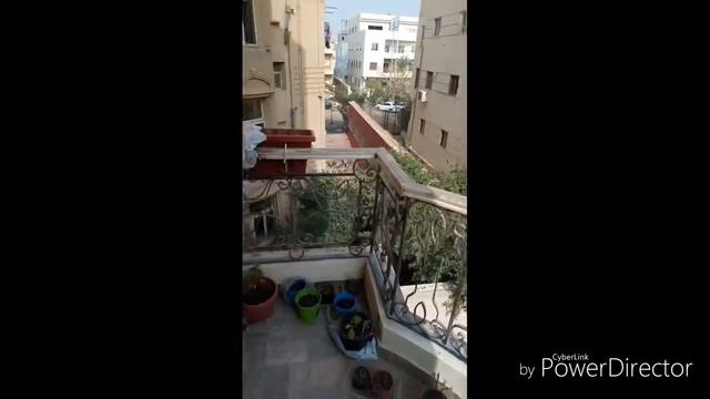 В ГОСТЯХ НА МОЕМ БАЛКОНЕ. ЕГИПЕТ ДЕКАБРЬ 2018. МОИ РАСТЕНИЯ НА БАЛКОНЕ смотреть онлайн