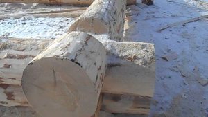 Сруб в чашу 10х10 с 5 стеной