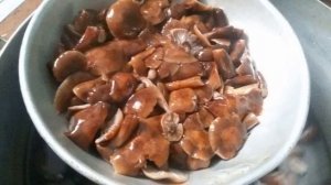 Маринованные грибы опята.  рецепт 2019 года