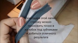 Однорожковая лапка