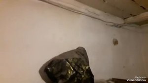 Закрасил белой водоэмульсионкой комнату Это продолжение