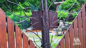 Ремесло   GEFEST художественная ковка.  Изделия из металла. fatalityvdk