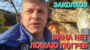 Погреб уничтожен! #Деревенский_заколхоз.