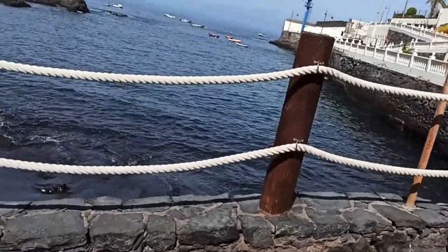 Playa Puerto de Santiago Tenerife Пляж Пуэрто де Сантьяго (2) смотреть онлайн