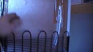 Холодильник Атлант - ремонт после 7-ми лет работы.