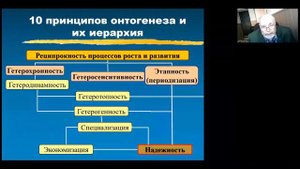 гетерохронность, гетеросенситивность, этапность (В. Д. Сонькин)