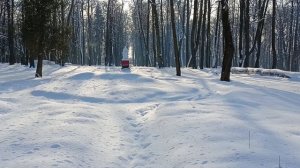 Заброшенная усадьба в д.Васькино.Московская область