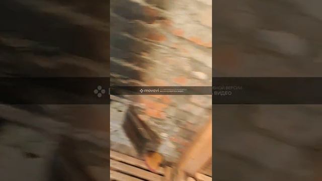TRIAL            ВидеоНовое ЮТУБ