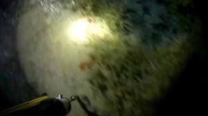 под водой.mp4