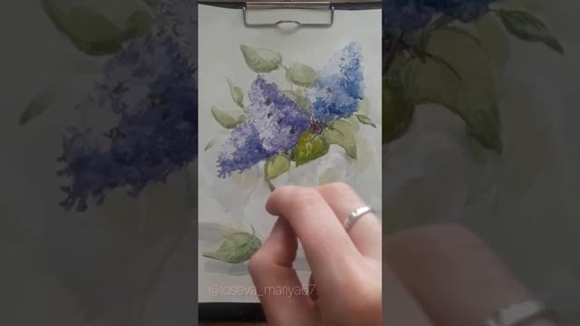 Рисуем сирень в вазе акварелью. смотреть онлайн