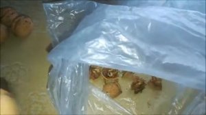 Как почистить грецкие орехи мешочком Как почистить грецкие орехи