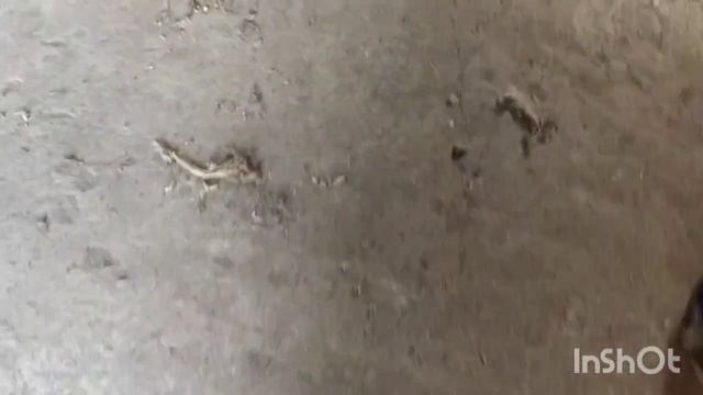 Опрессовка наконечников на провода смотреть онлайн