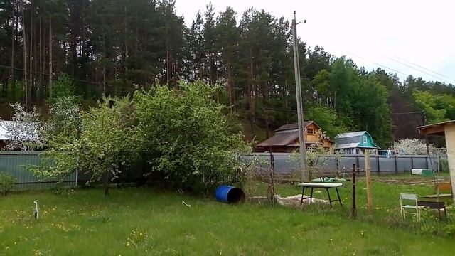 Дача Красный Бор смотреть онлайн