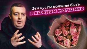 Эти кусты должны быть в каждом магазине! | Цветы оптом | Плантация ZeeFlora | Кустовая Роза