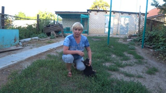 Воспитание щенка. С чего начать?