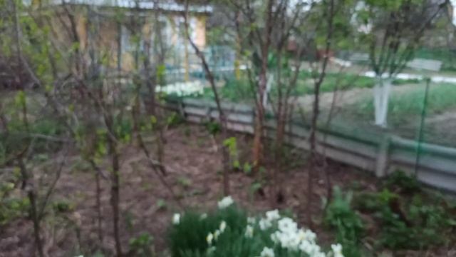 ? ДАЧНЫЙ ВЛОГ #5: ПЕРВАЯ НОЧЬ НА ДАЧЕ / КУПИЛИ КАЧЕЛЬ-КОКОН / УБОРКА В ДОМИКЕ / ЦВЕТОЧНЫЕ ПОКУПКИ