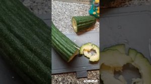 Армянский огурец. пробуем.