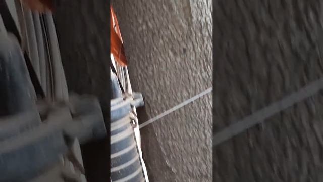 Dr.Sas.Biswas on Dendrology thru a Virtual Field Trip with dolphinite student foresters, Bengaluru. смотреть онлайн