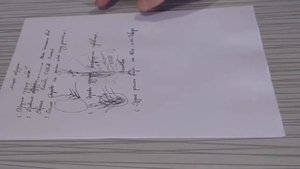 Обрезка груши. почему нельзя резать грушу.