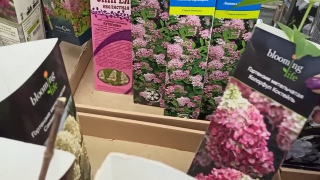 Обзор магазина ОБИ (Мега Парнас) отдел растений смотреть онлайн