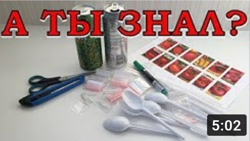 МАЯЧКИ для рассады СВОИМИ РУКАМИ!???