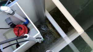 Обман от "ТОПОЛ ЭКО" не попадитесь !!!