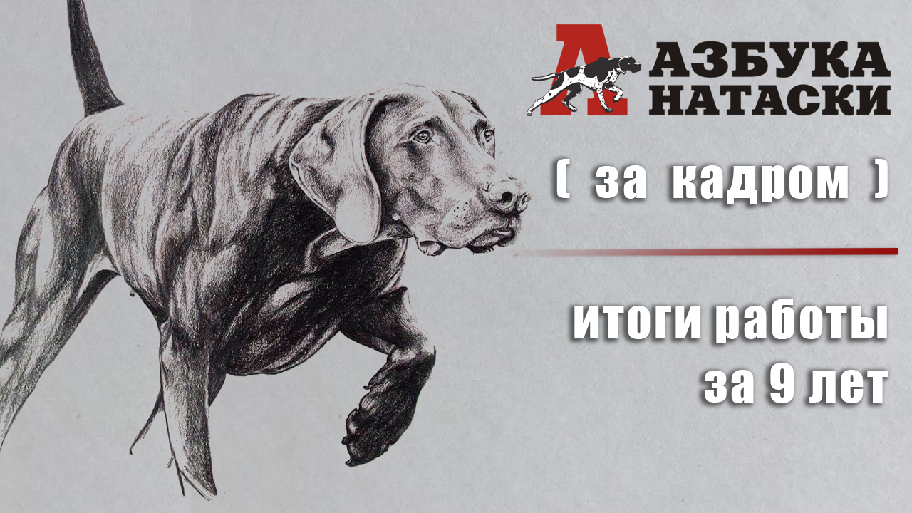 "Азбука натаски" 2013 - 2022 (за кадром). смотреть онлайн
