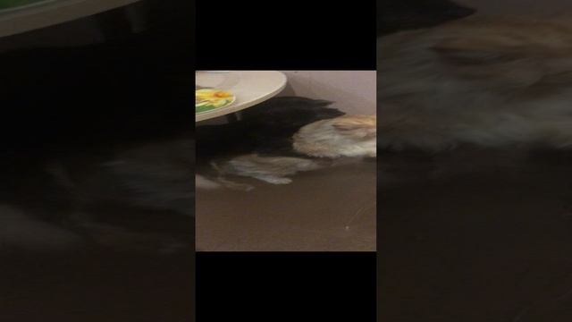 2022-11-14 смотреть онлайн