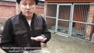 отказ собаки от еды. что делать?!