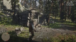 ЕЩЕ 17 ПАСХАЛОК и СЕКРЕТОВ в RED DEAD REDEMPTION 2 #6 [Easter Eggs]