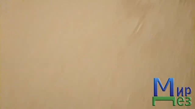 Чистый дом, тест. смотреть онлайн