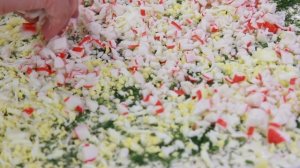 РУЛЕТЫ В ЛАВАШЕ НА НОВЫЙ ГОД. ТРИ ВАРИАНТА. Рецепт от Покашеварим. Выпуск 240