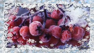 Зима Божественная песня Поет Иосиф Алтухов