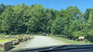 Как живут отшельники Амиши в штате Огайо,USA? Жизнь как 200 лет назад.