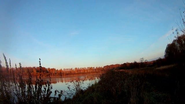 Охота в Пихтовке, северная утка.