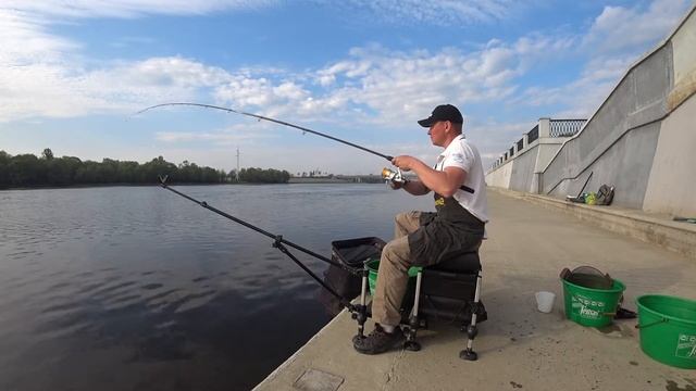 Фидер на реке Сож. г.Гомель. Городская рыбалка смотреть онлайн