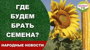 Где будем брать семена?