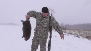 Охота на бобра.С полем