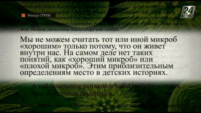 Хабар 24 Между строк Кормите микробов правильно смотреть онлайн