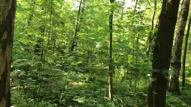 Призрак?! Новая История-Мини #3 смотреть онлайн