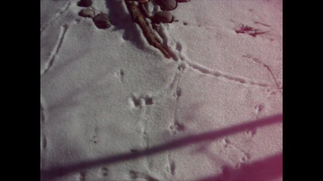 Река Теберда (7 декабря 2019 года) смотреть онлайн